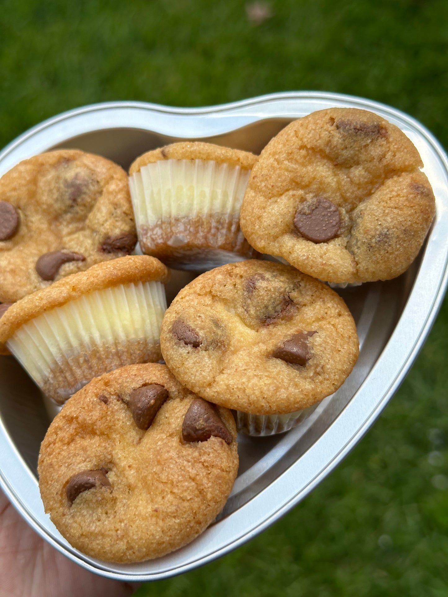 chocolate chip cheesecakes